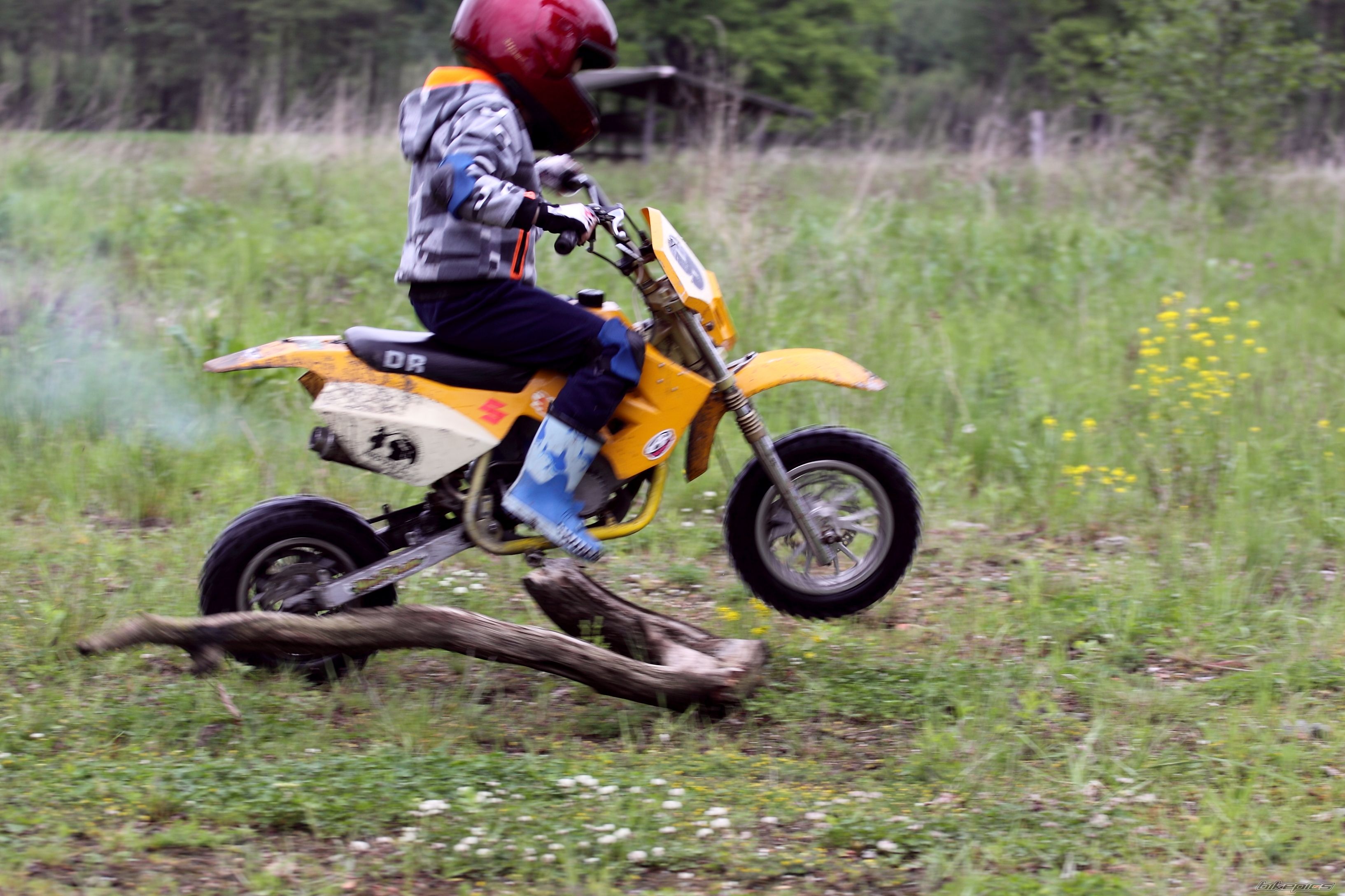 Photo 2742976