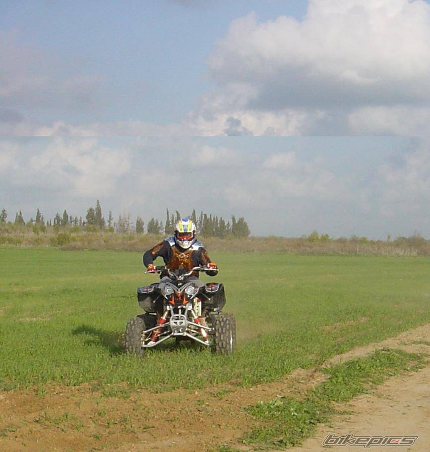Photo 274298