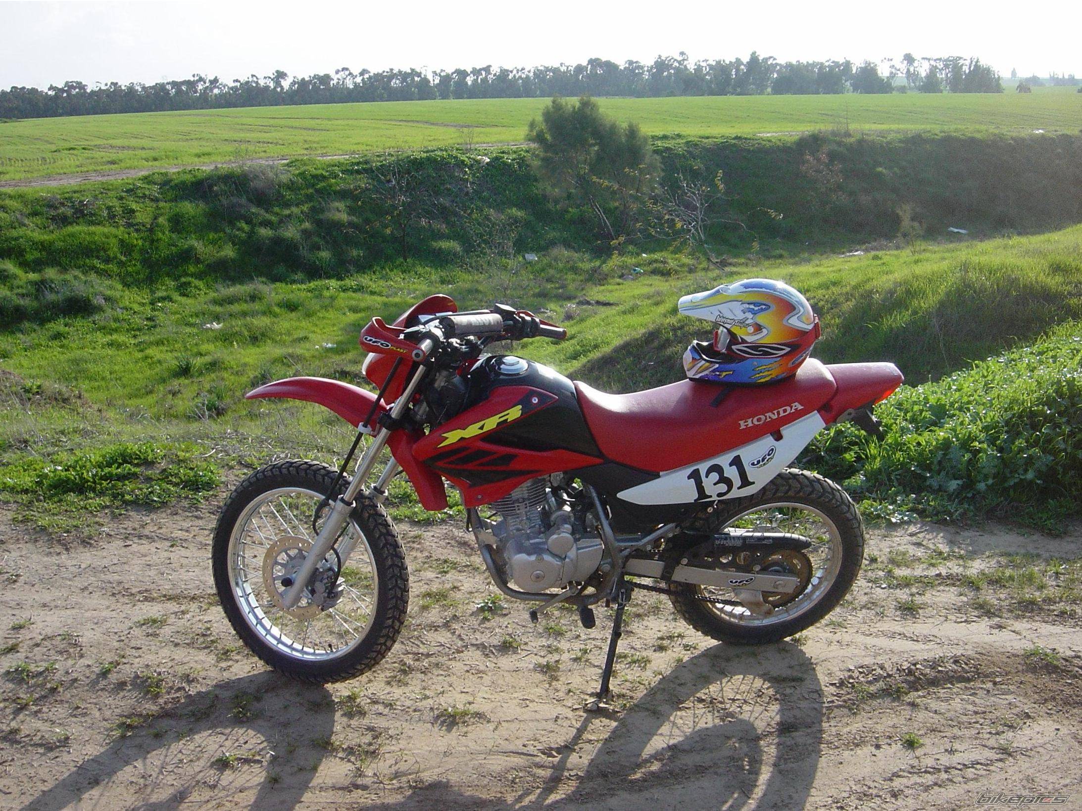 Photo 274309