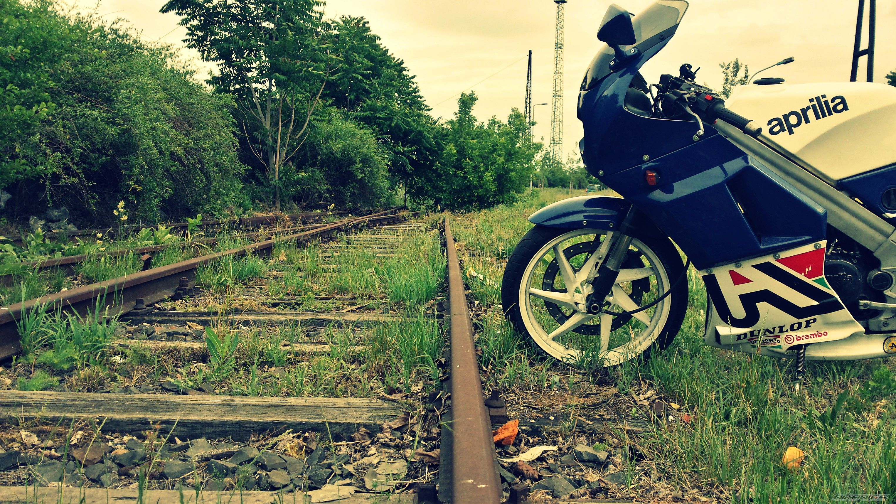 Photo 2743187