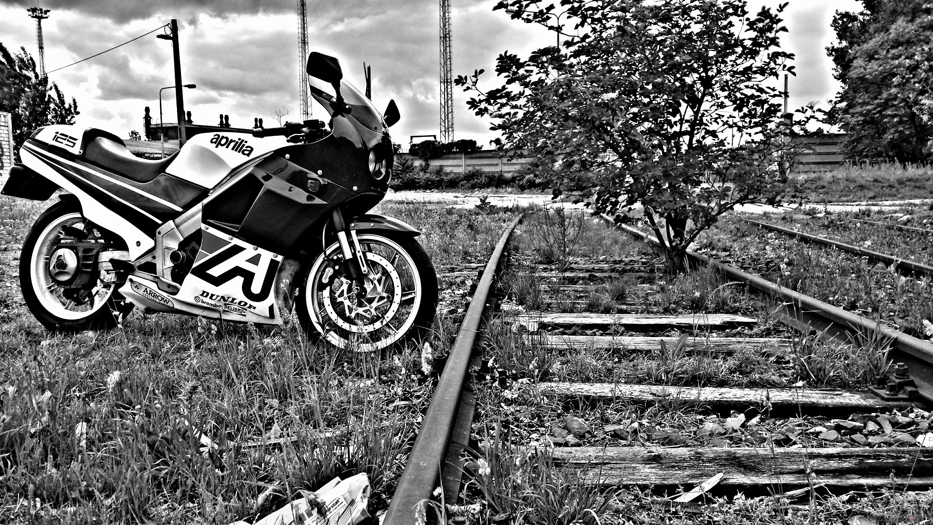 Photo 2743190