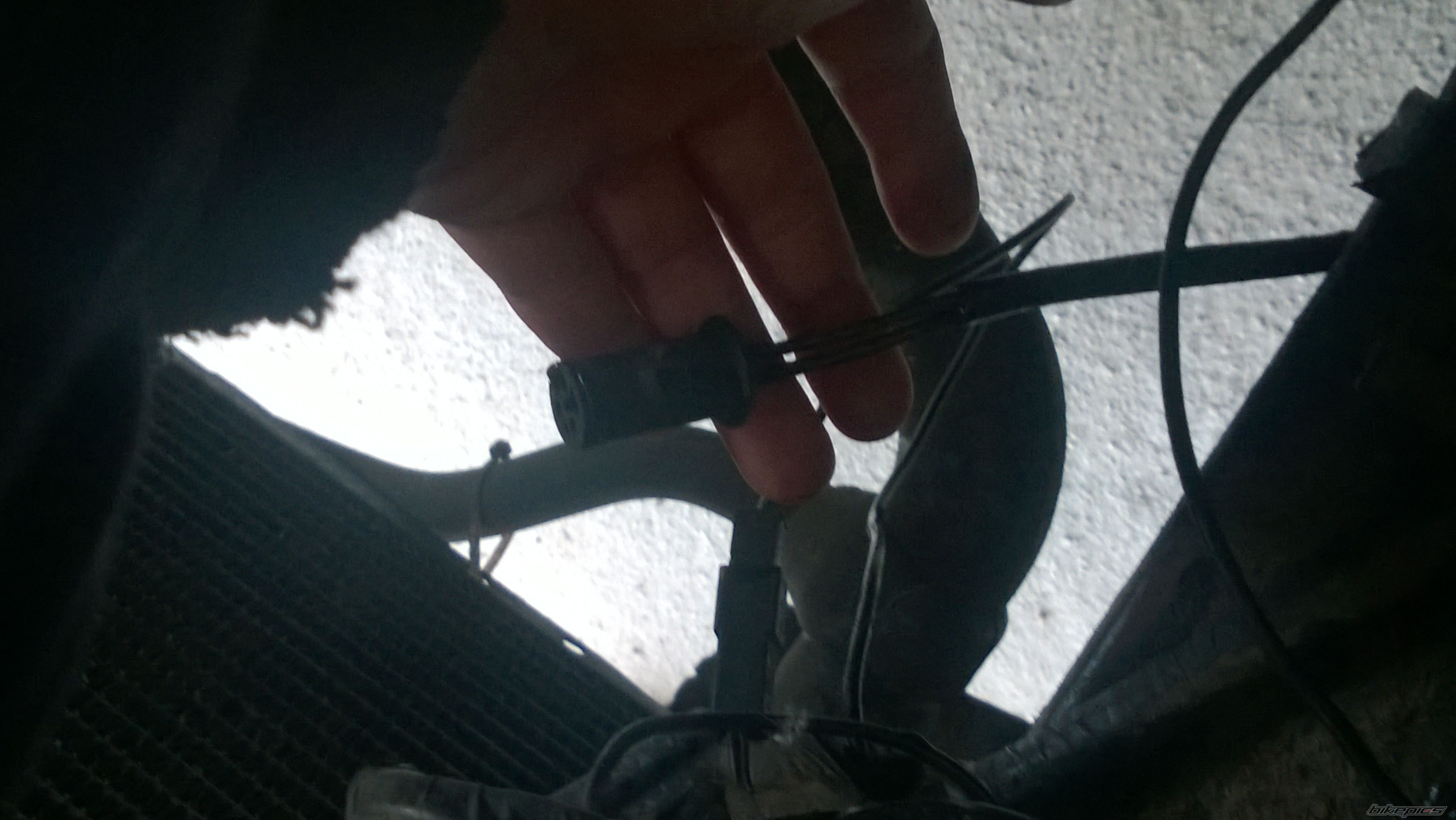 Photo 2743310