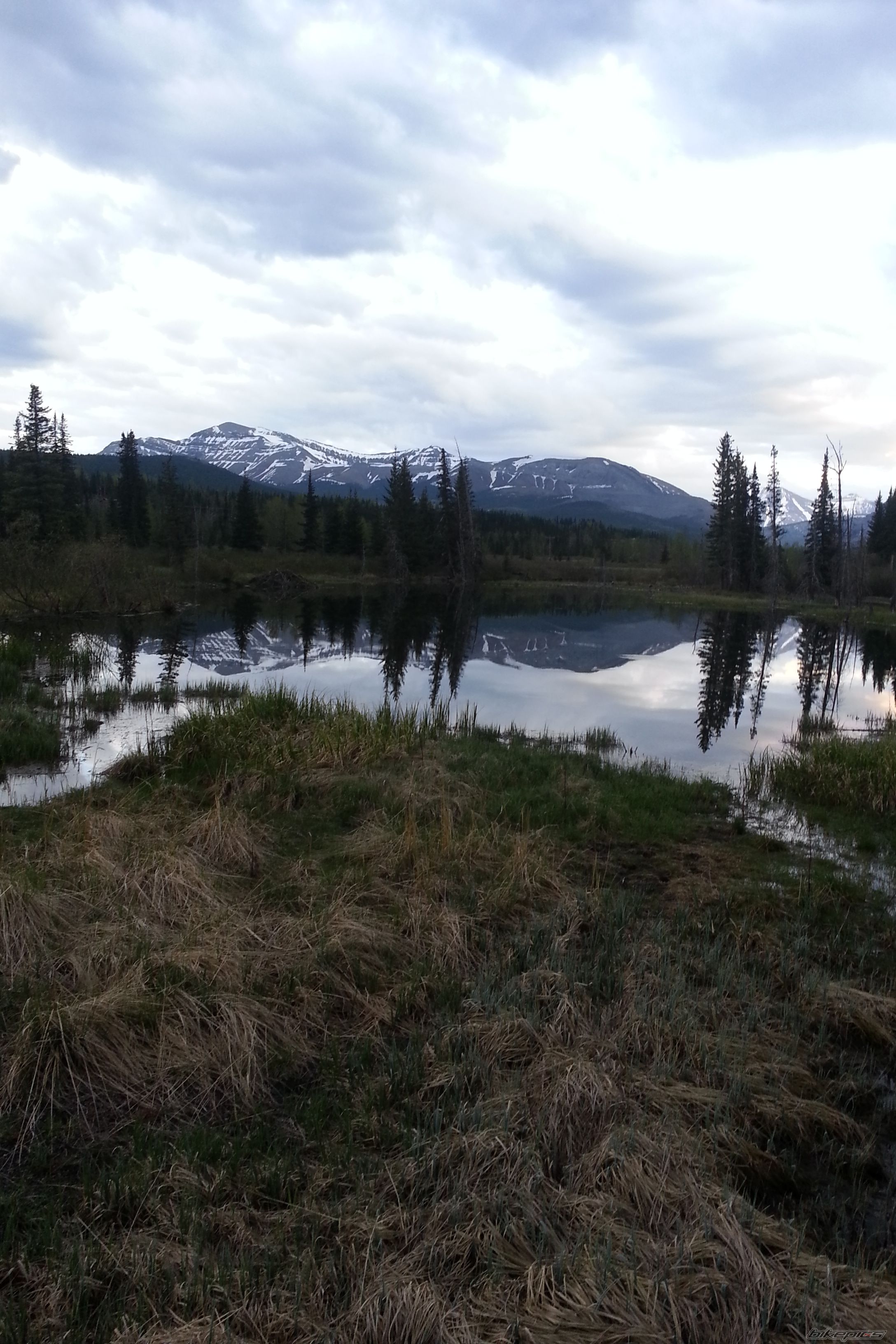 Photo 2743364