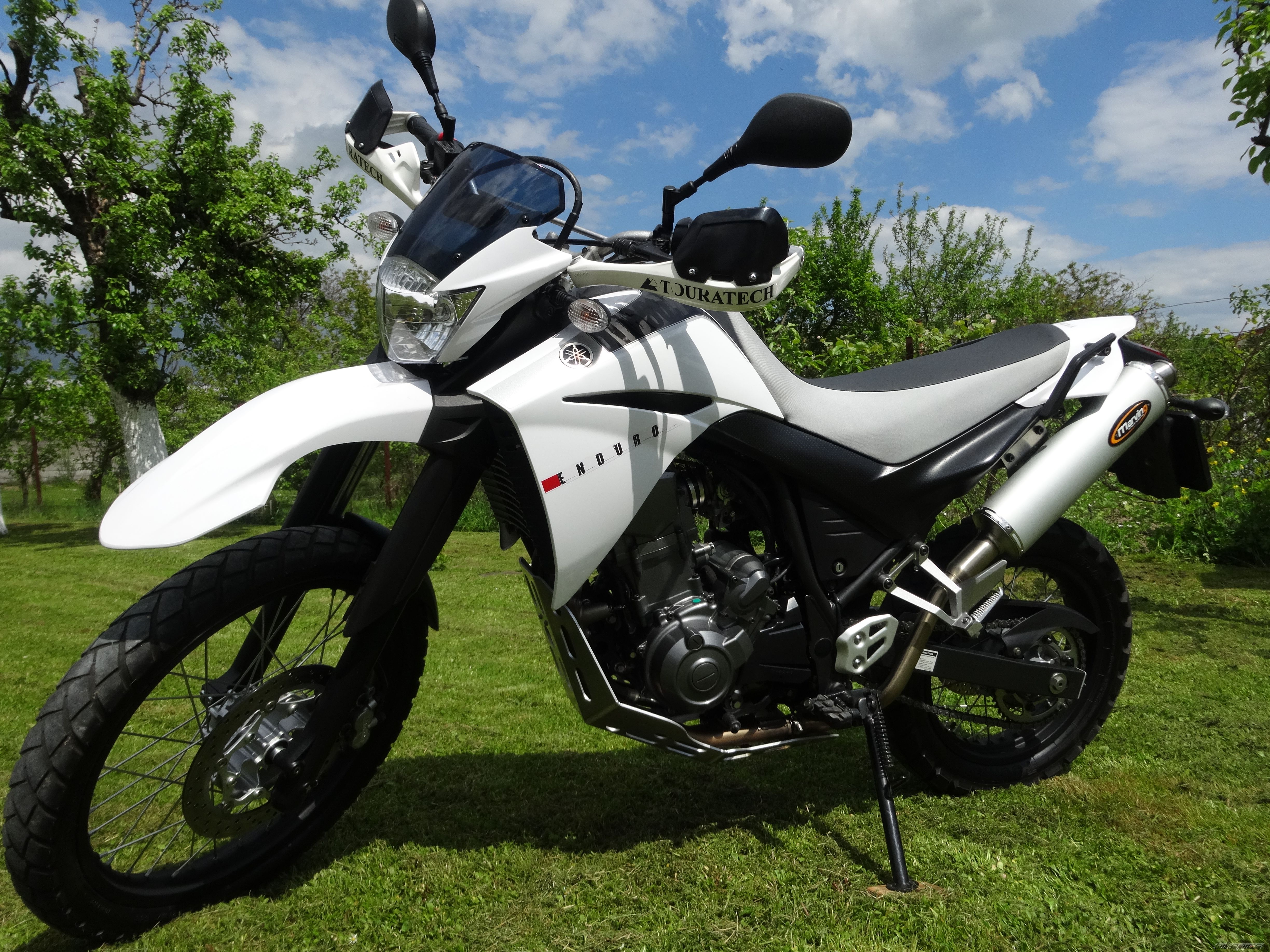 Photo 2743380