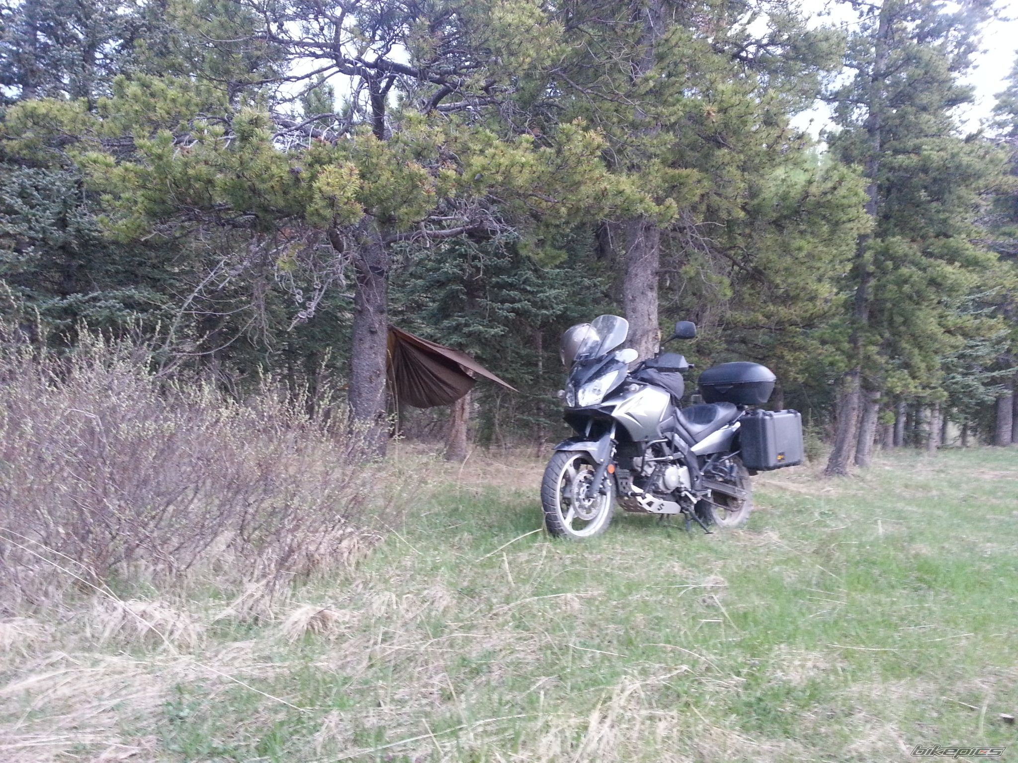 Photo 2743390