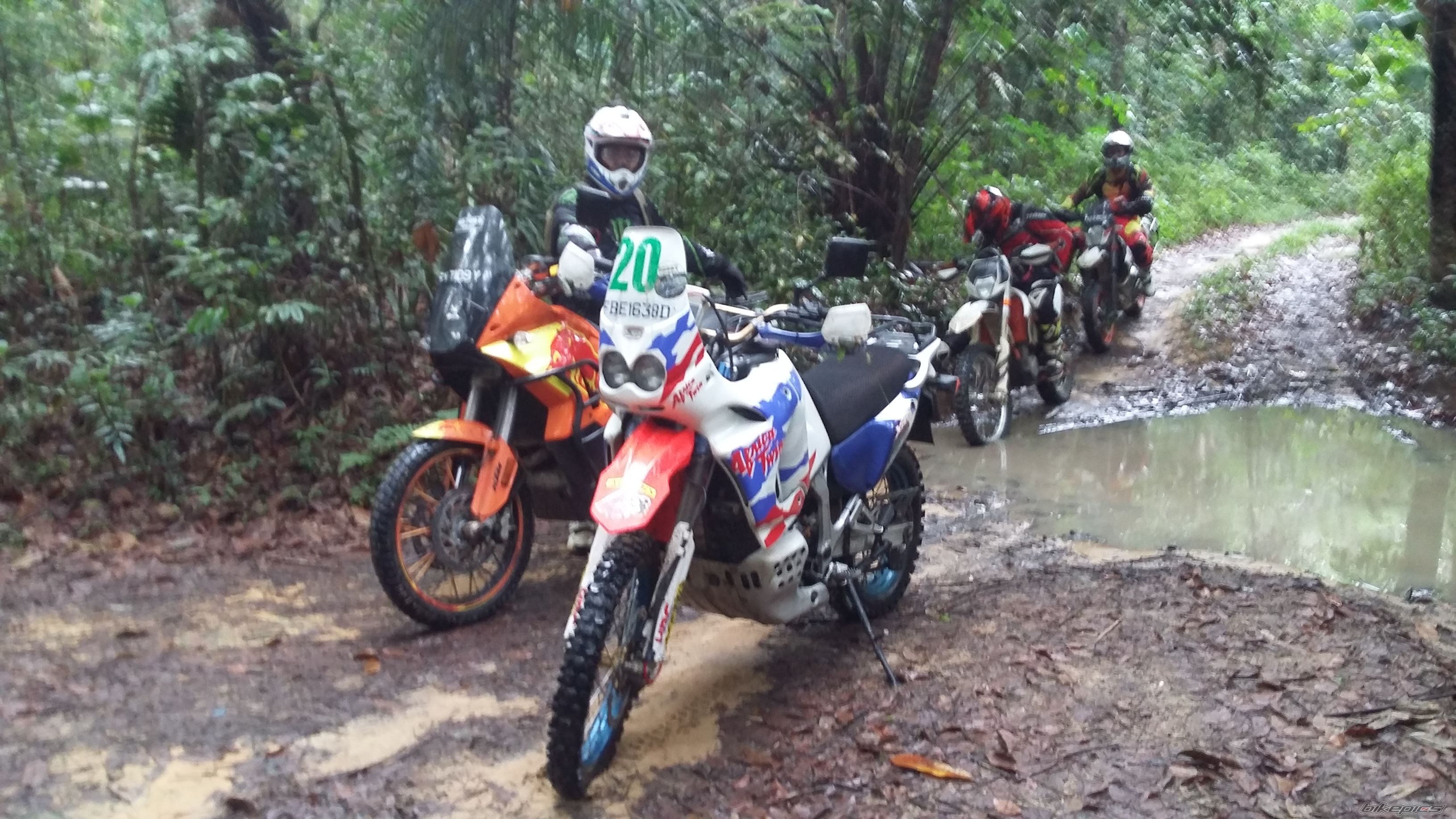 Photo 2743403