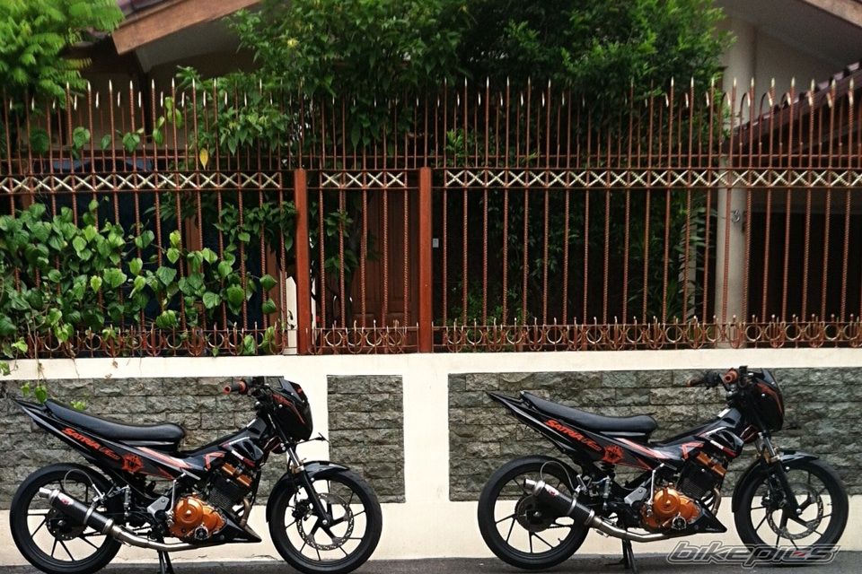 Photo 2743422