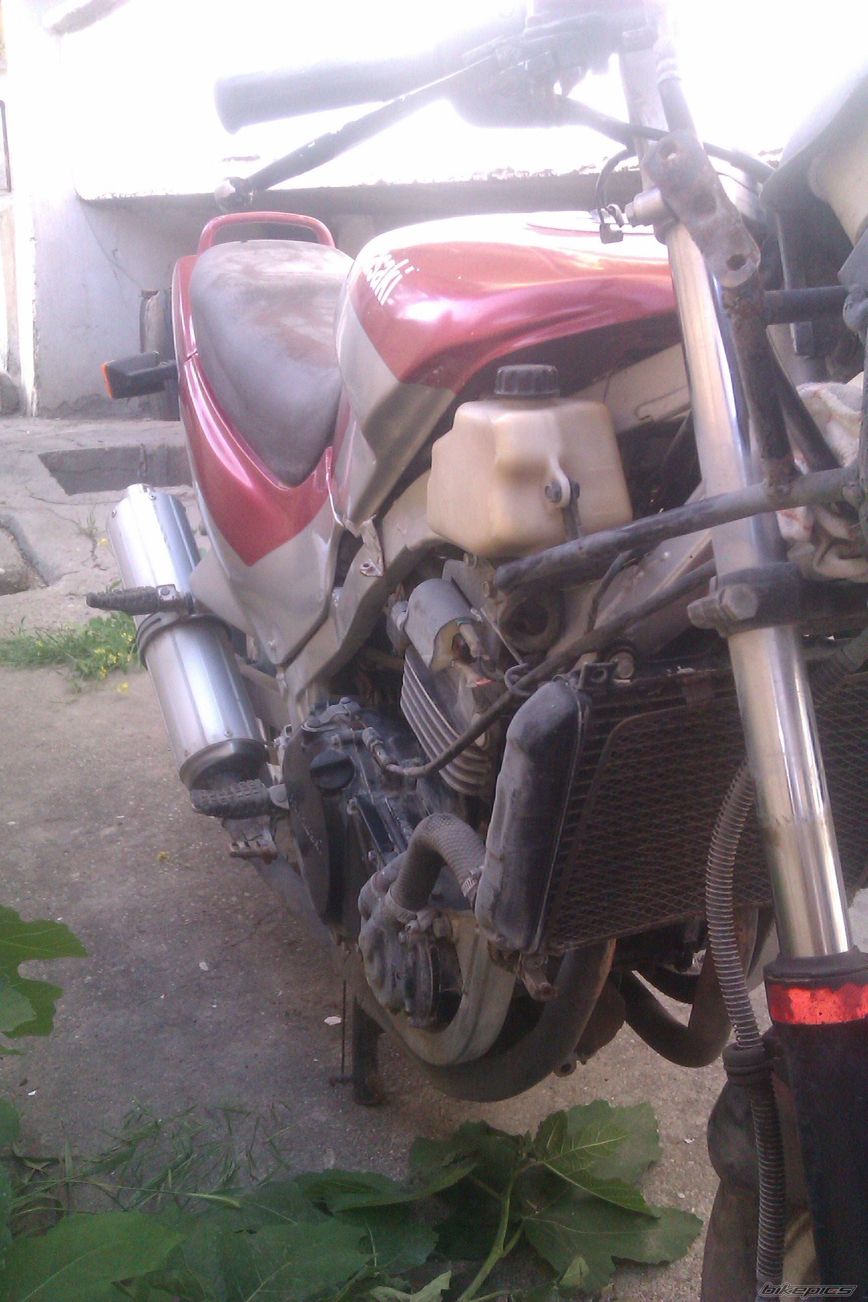 Photo 2743427