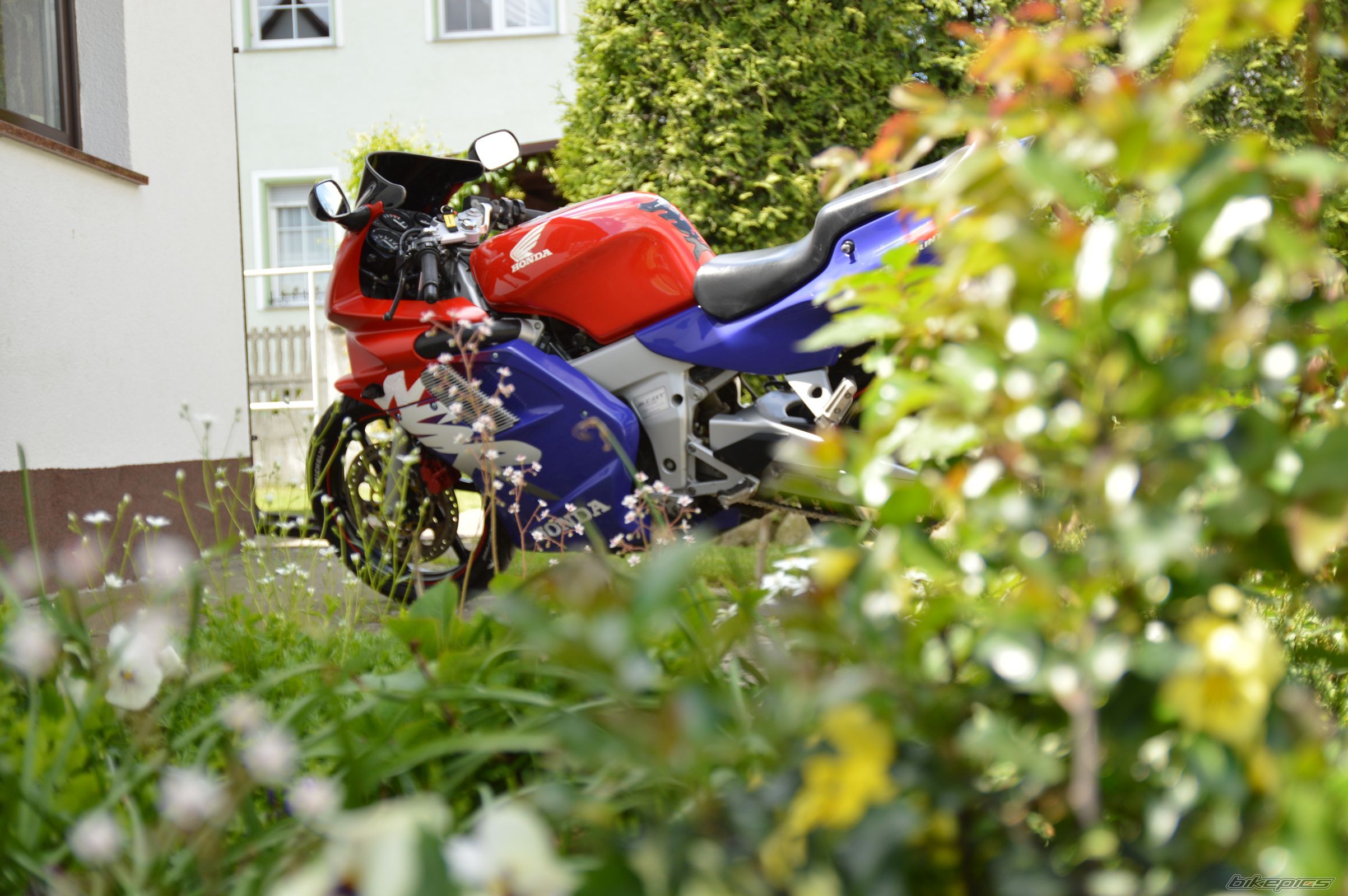 Photo 2743442