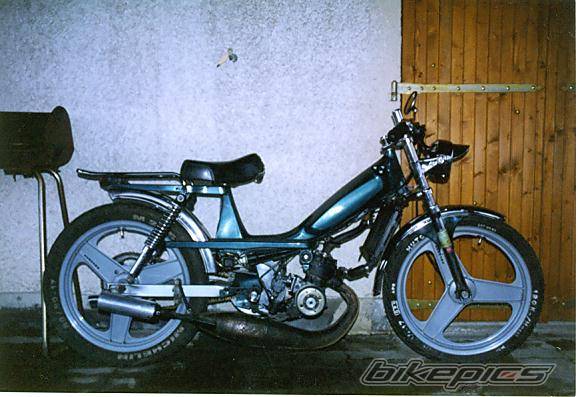 Photo 274359