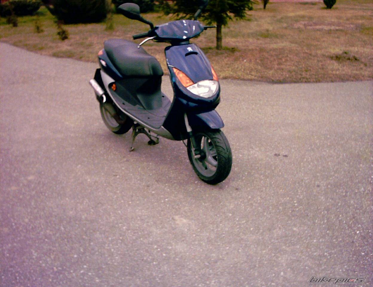 Photo 274367