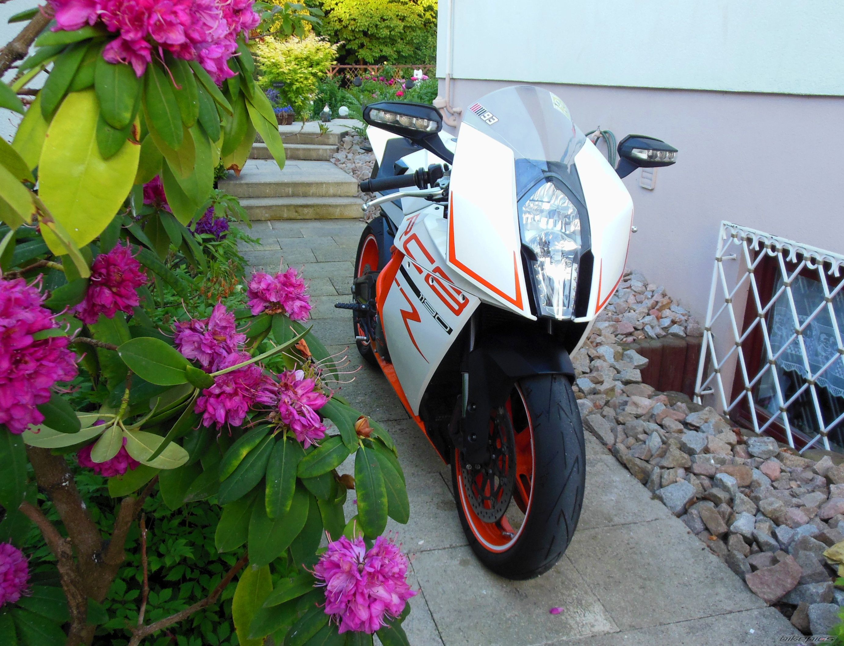 Photo 2743757