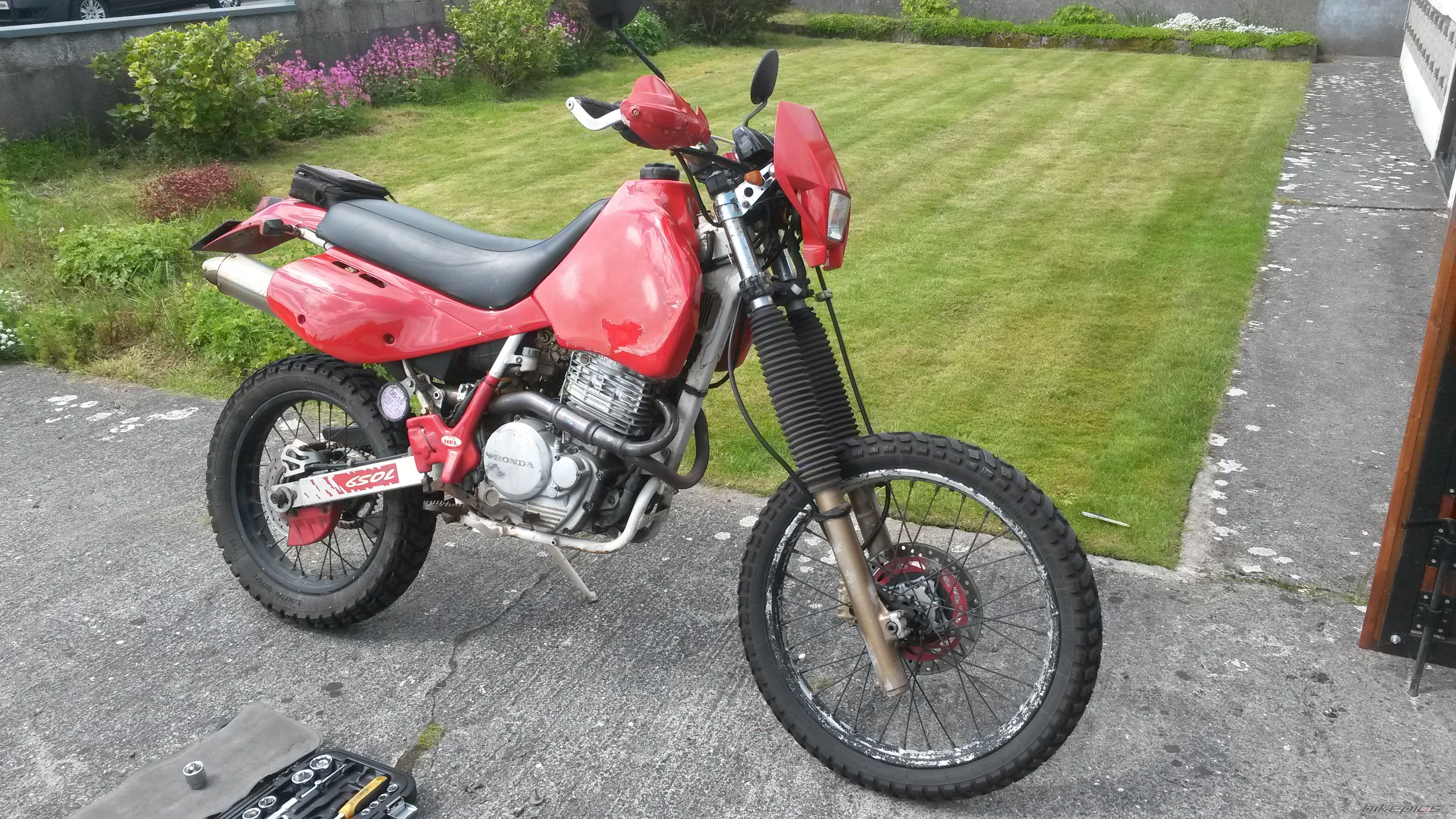 Photo 2743814