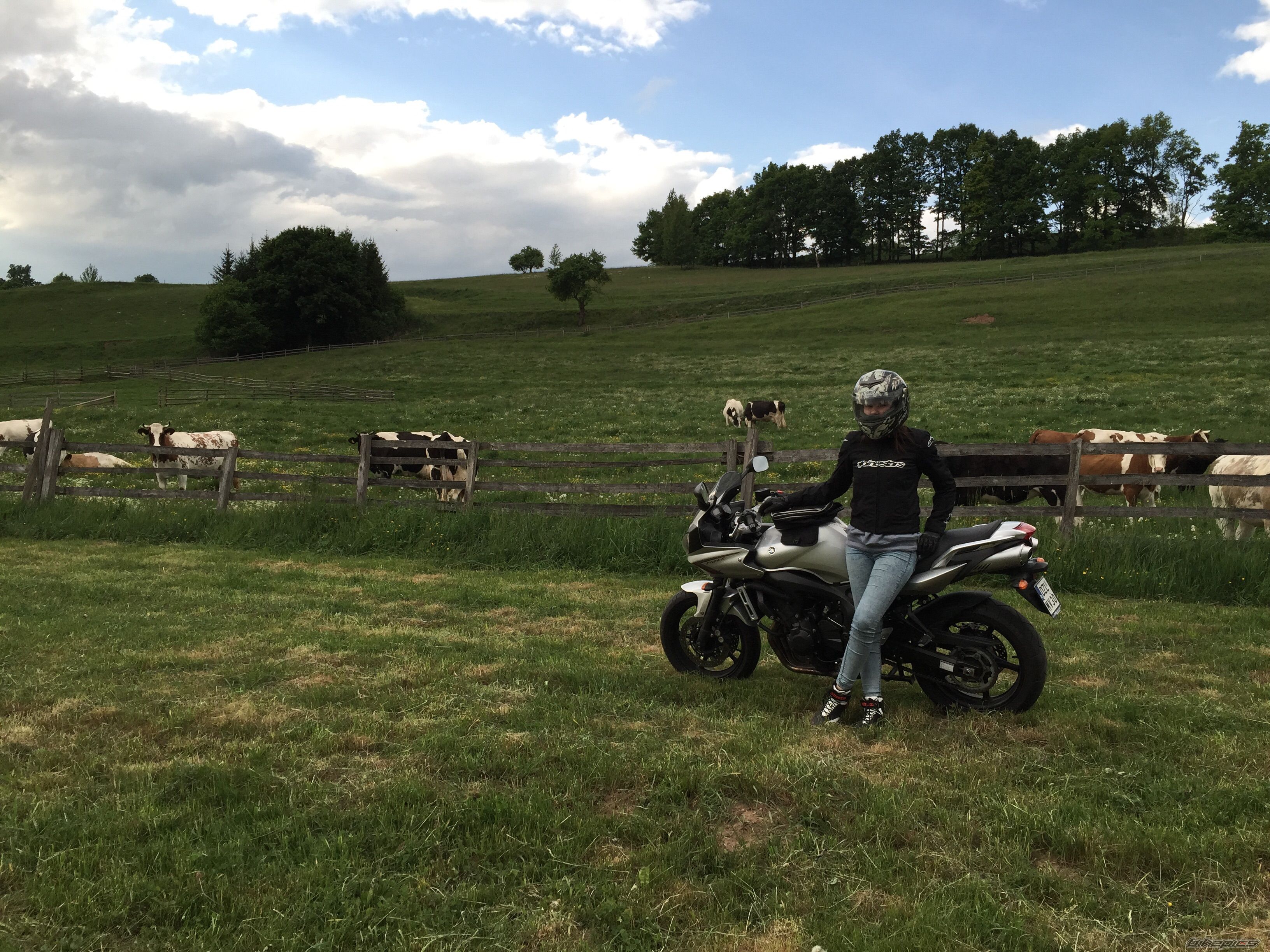 Photo 2743821
