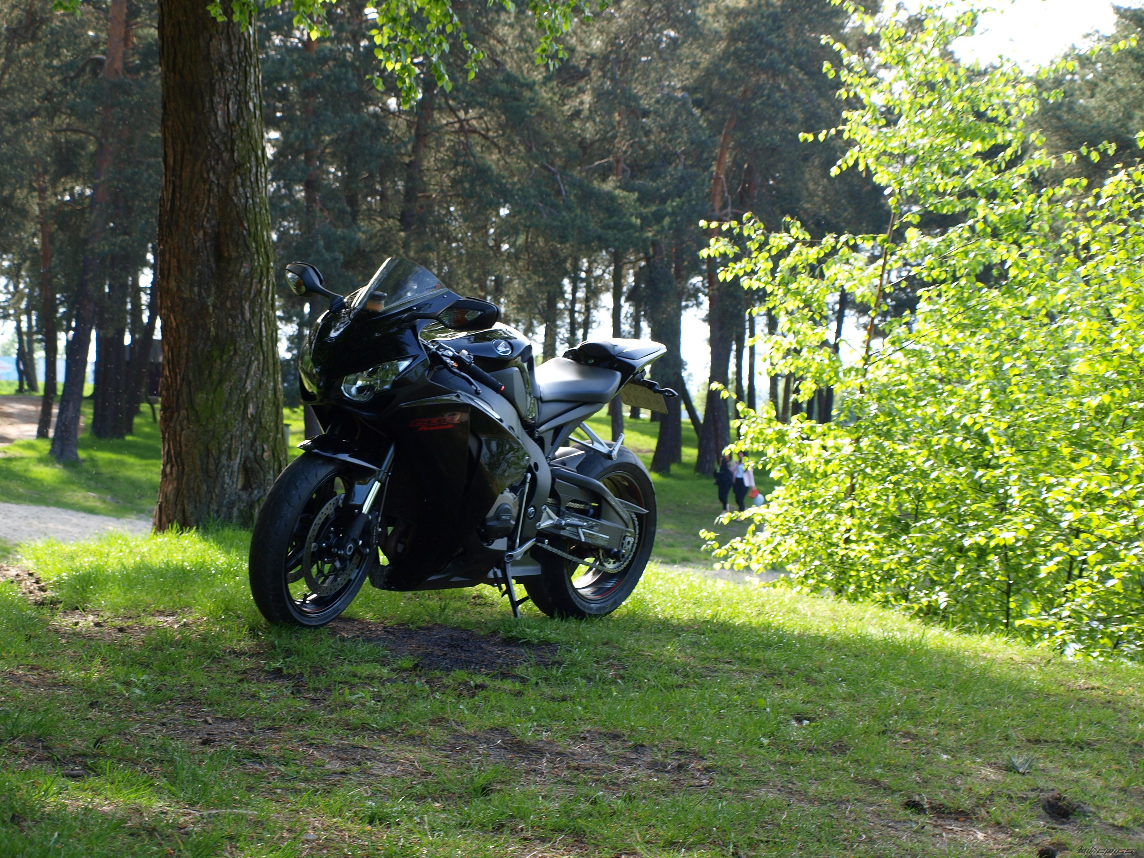 Photo 2743887