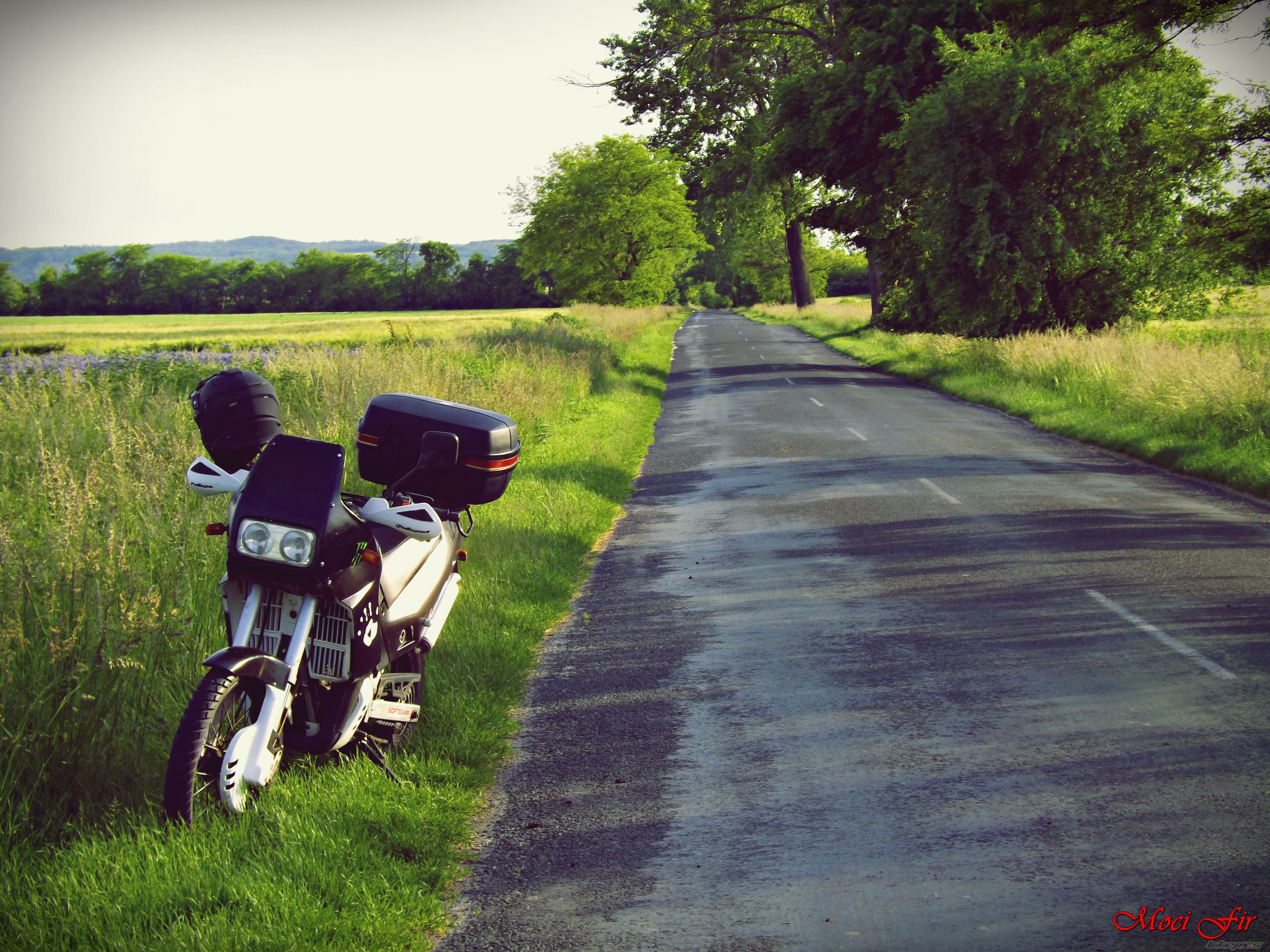 Photo 2743956