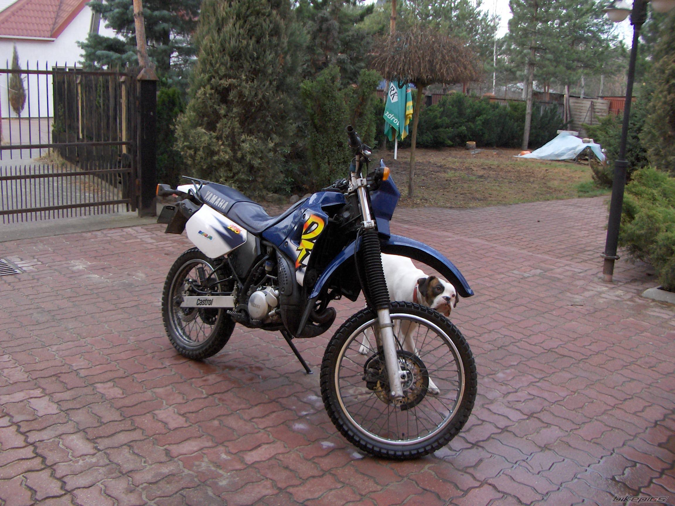 Bike Photo 274396