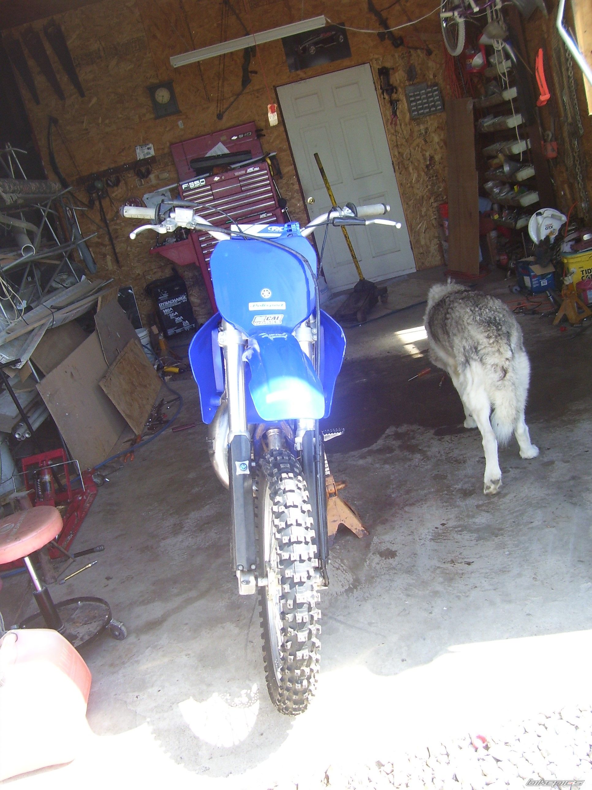 Photo 2743986