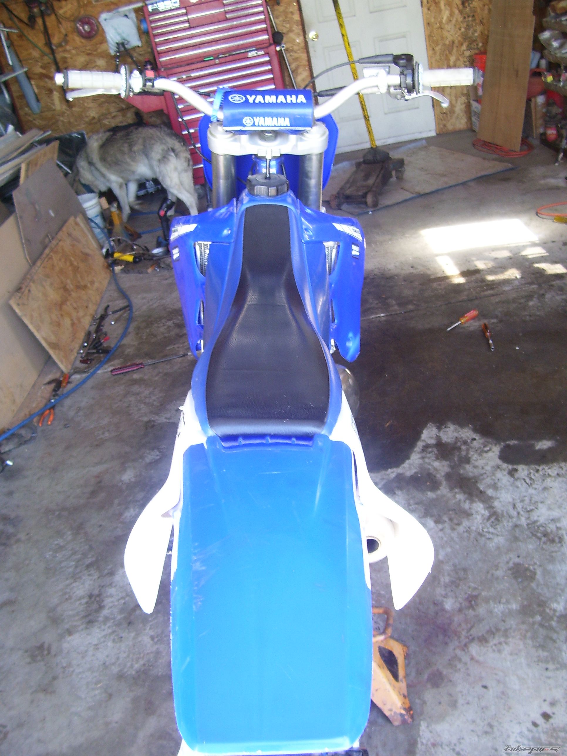 Photo 2743987