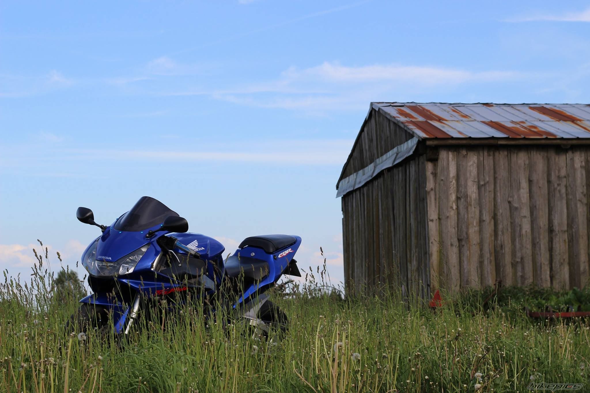 Photo 2744155