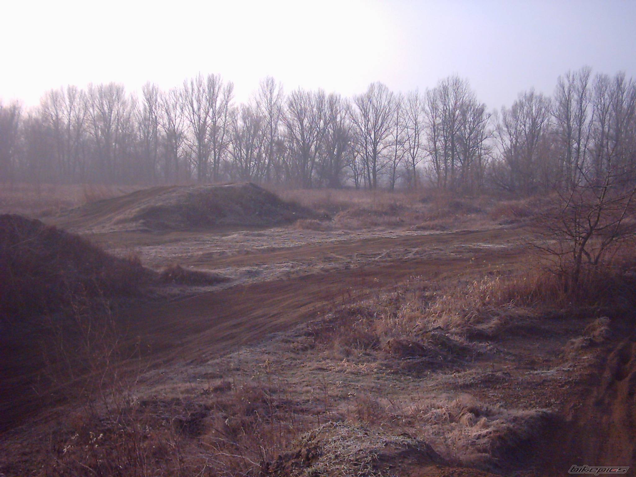 Photo 274419