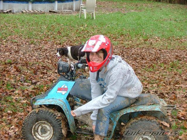 Photo 274425