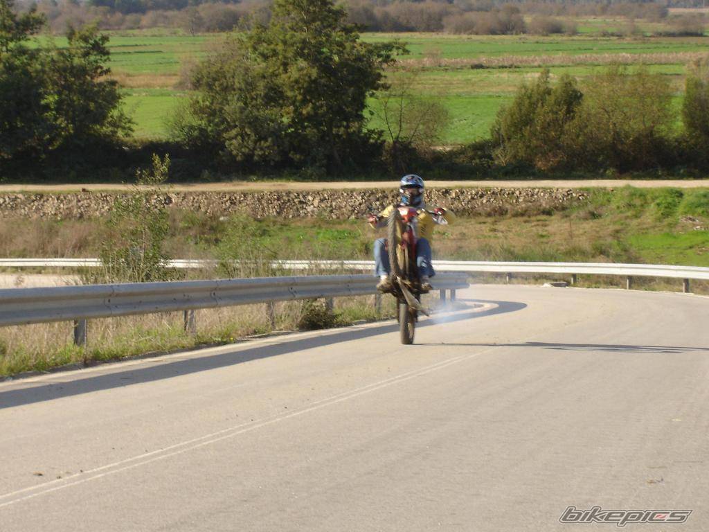 Photo 274439