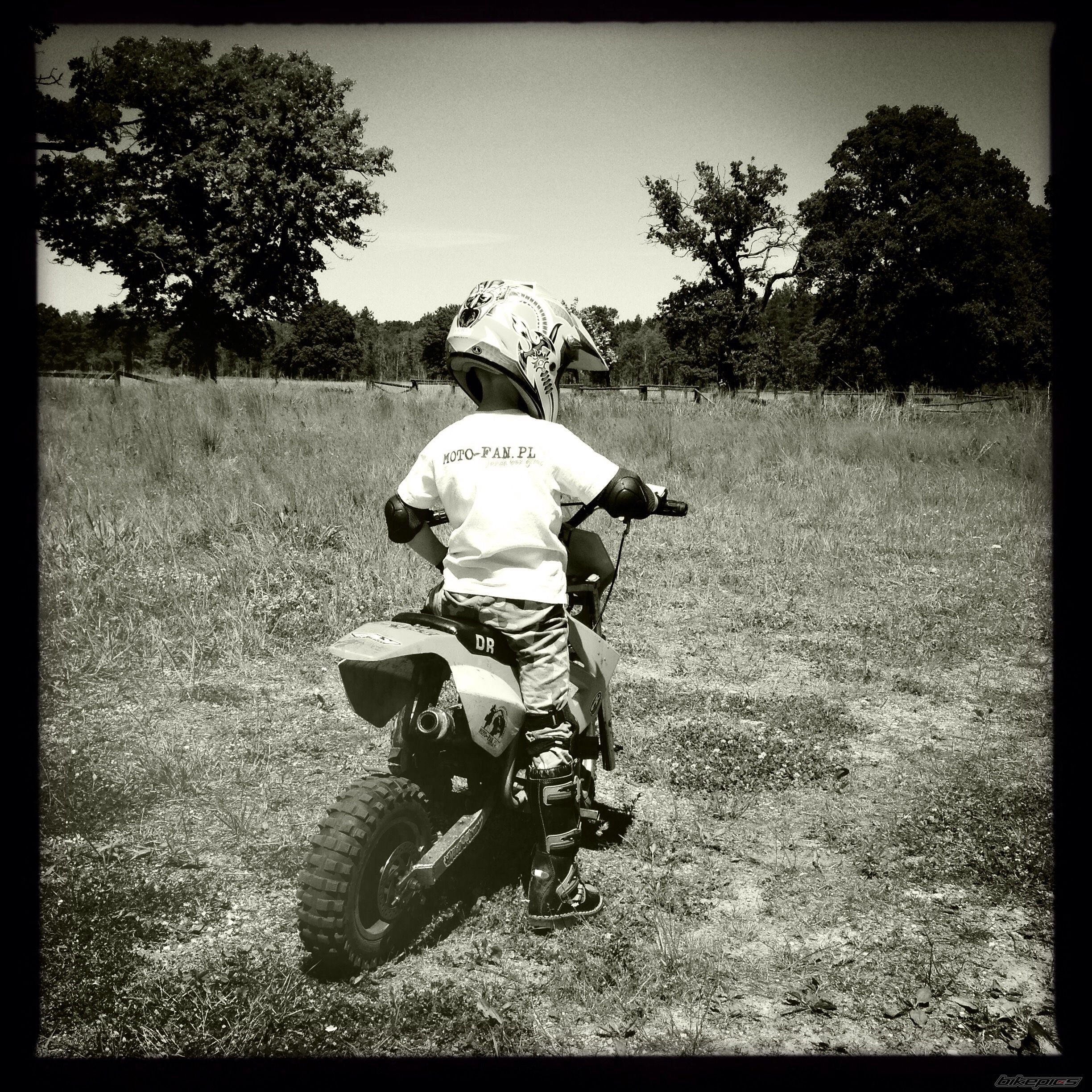 Photo 2744430