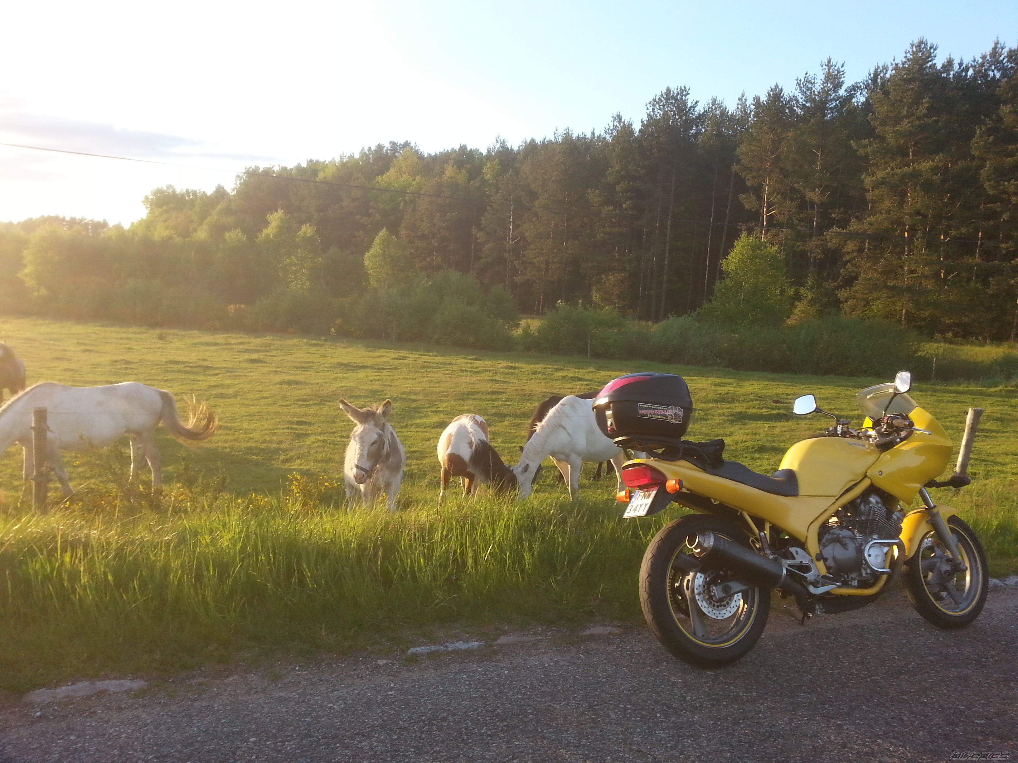 Photo 2744435