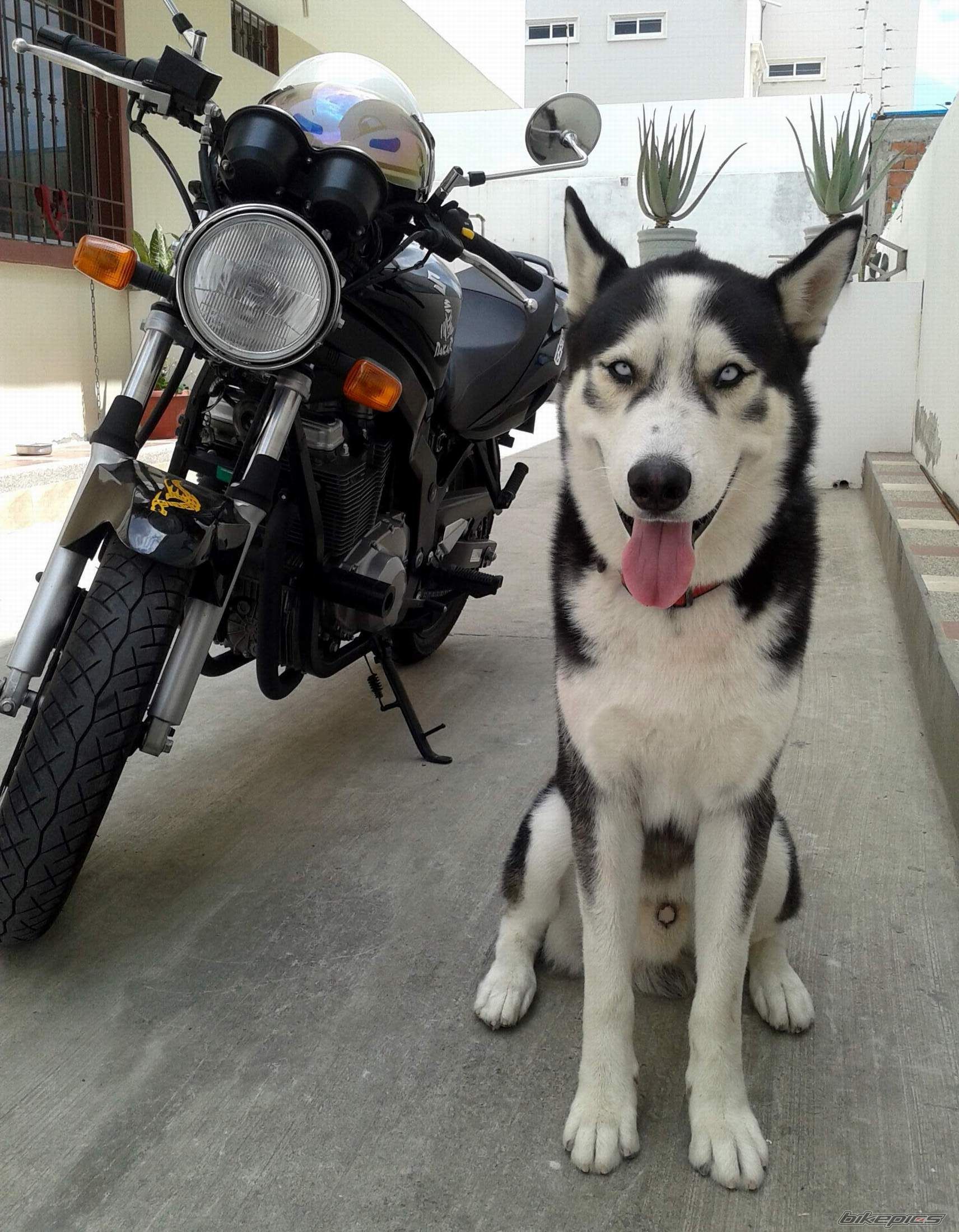 Bike Photo 2744482