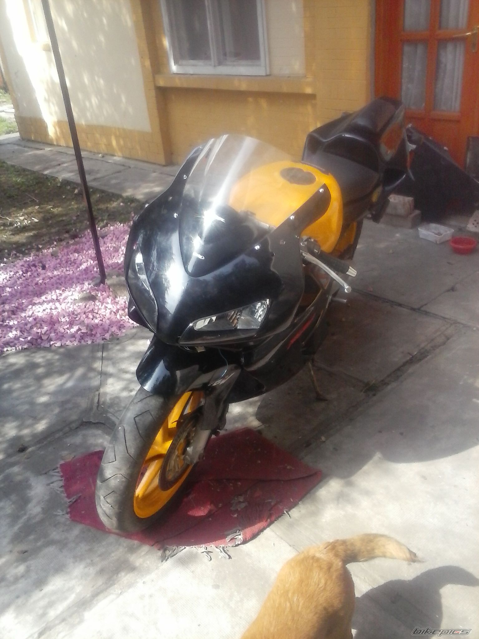 Photo 2744497