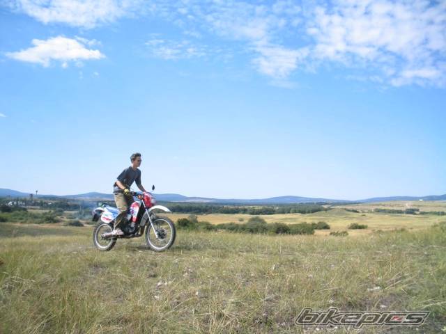 Photo 274464
