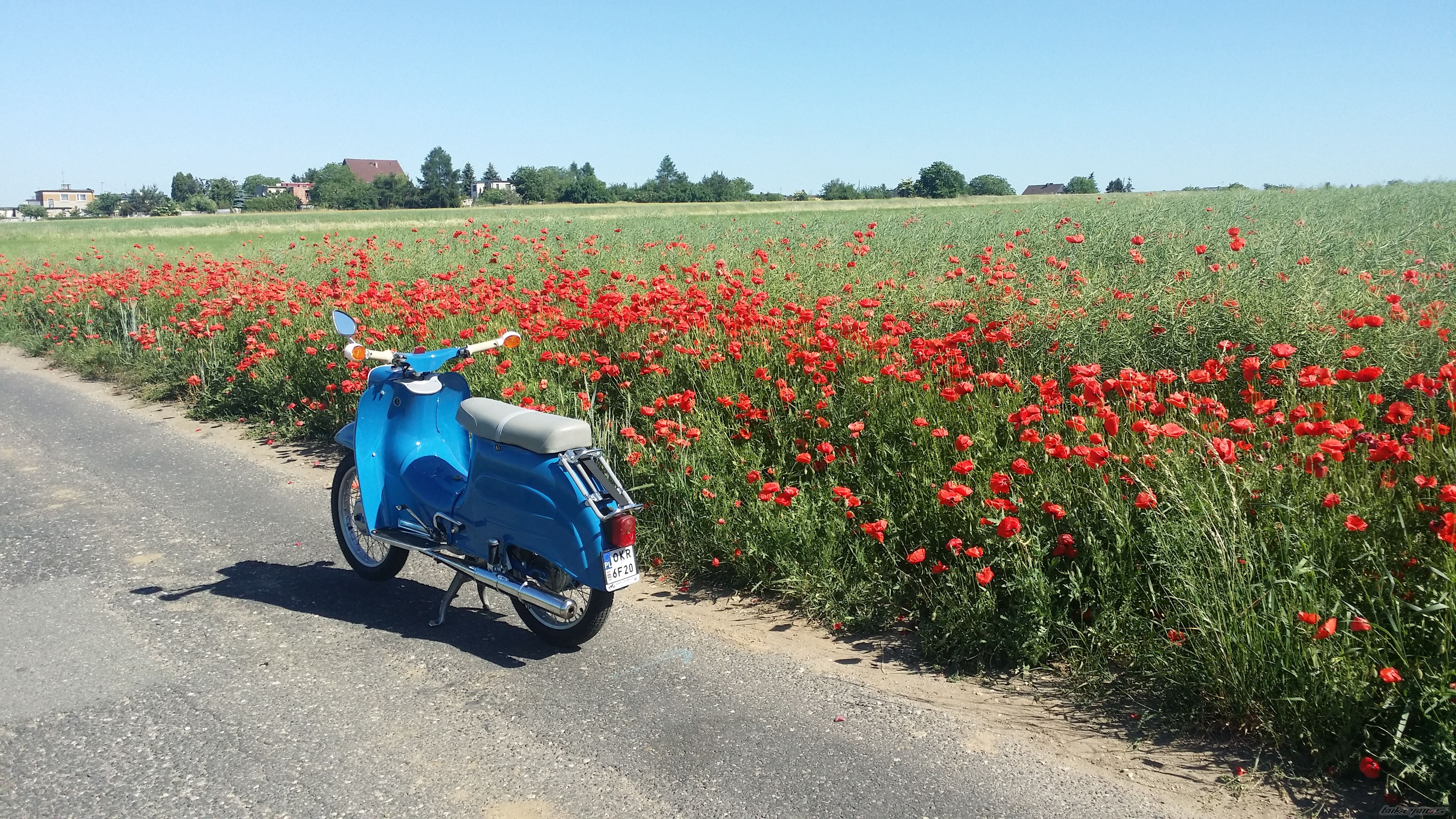 Photo 2744691