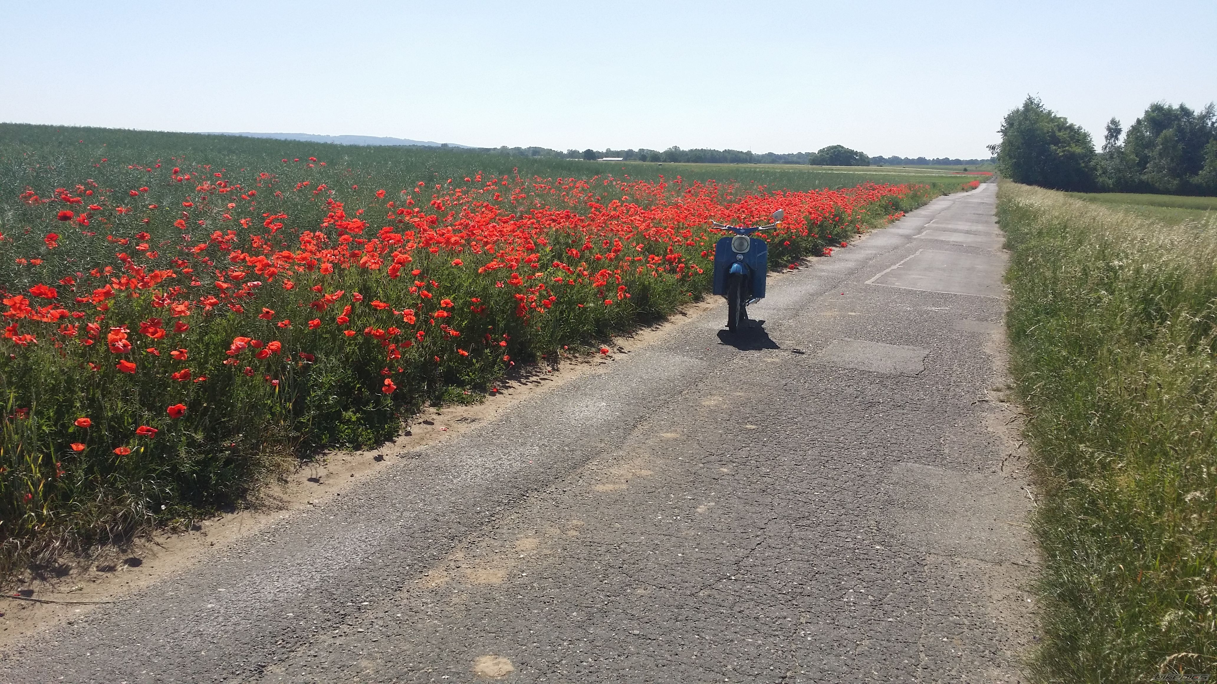 Photo 2744698
