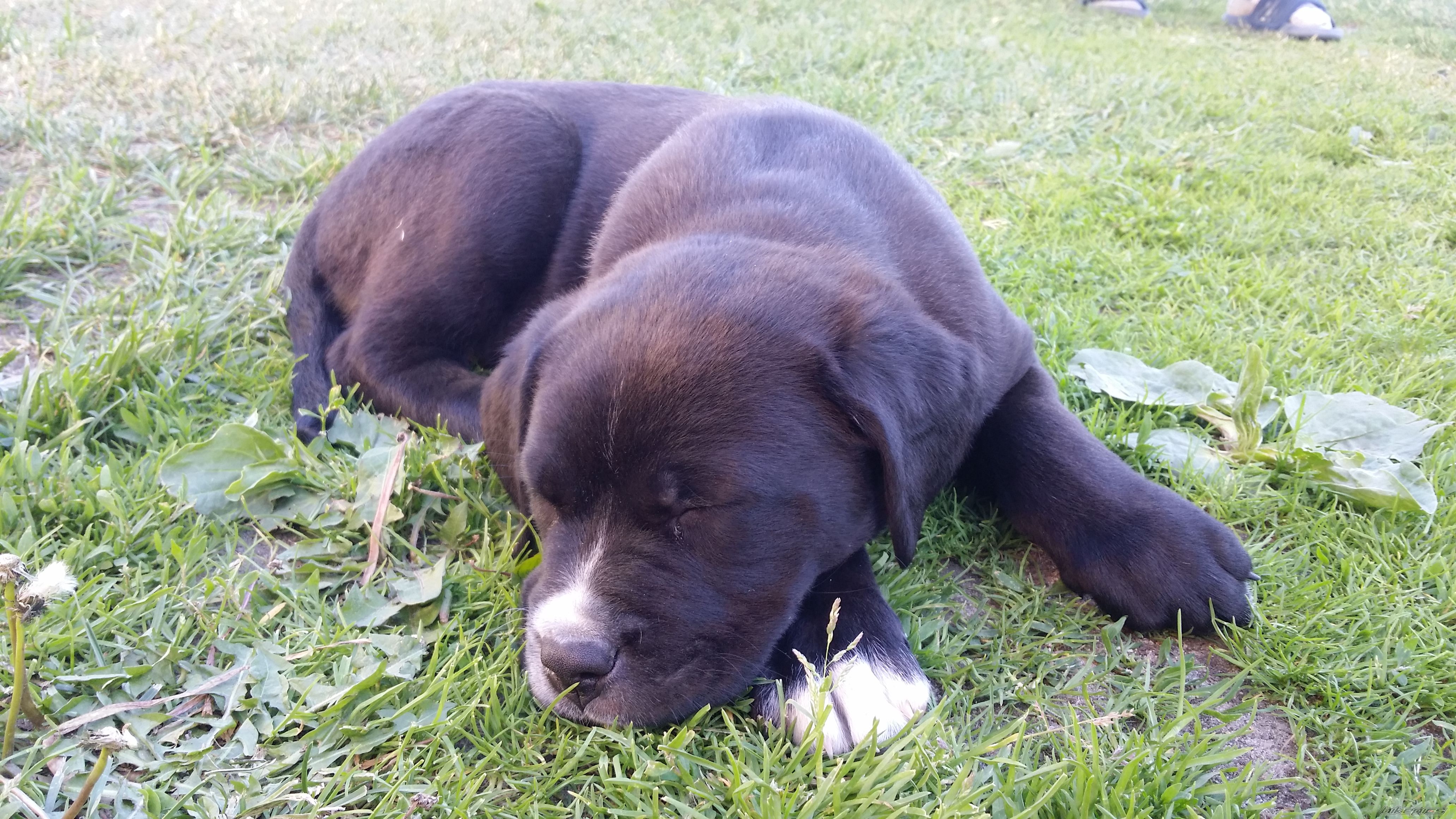 Photo 2744791
