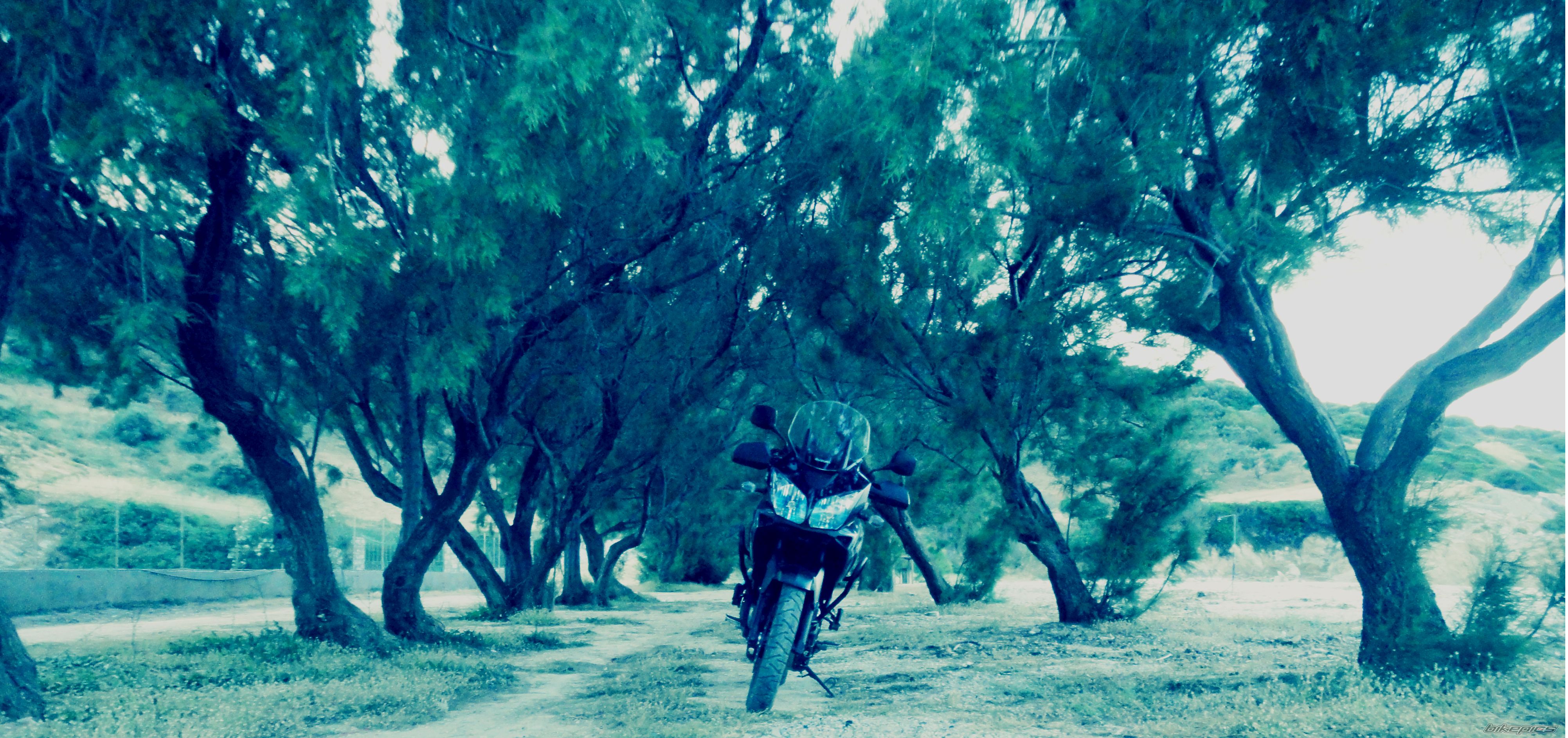 Photo 2744847