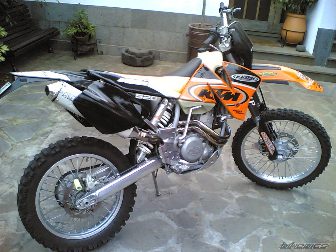 Photo 274486
