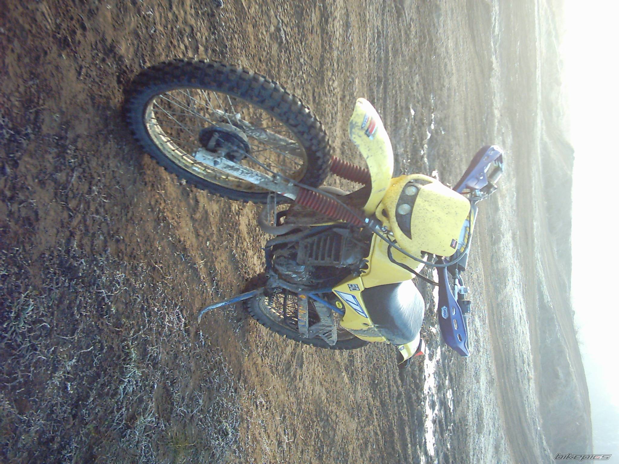 Photo 274487
