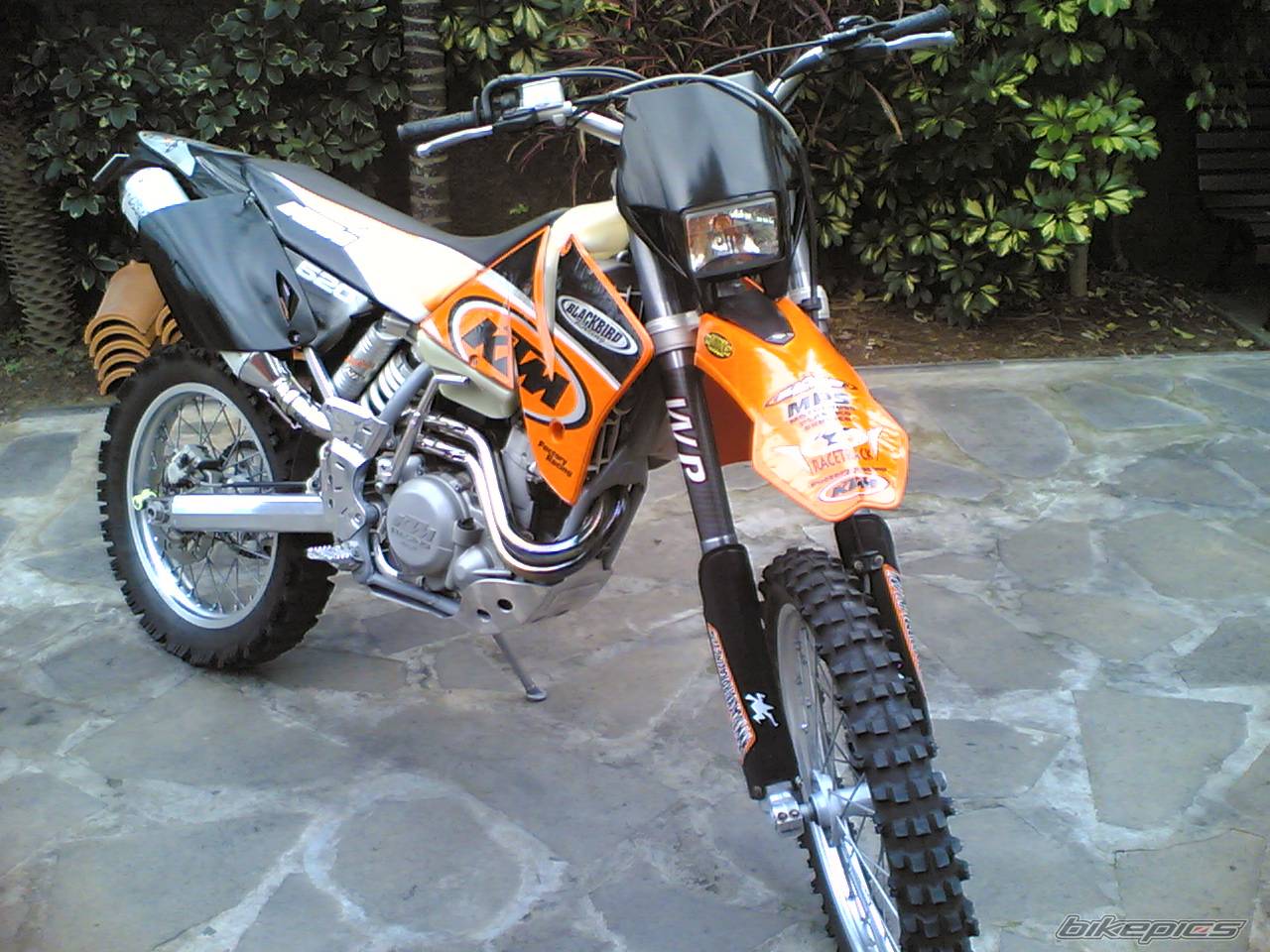 Photo 274492