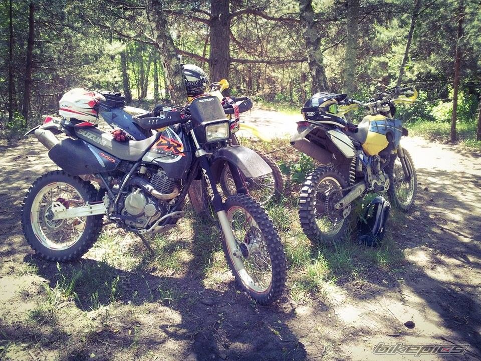 Photo 2744986