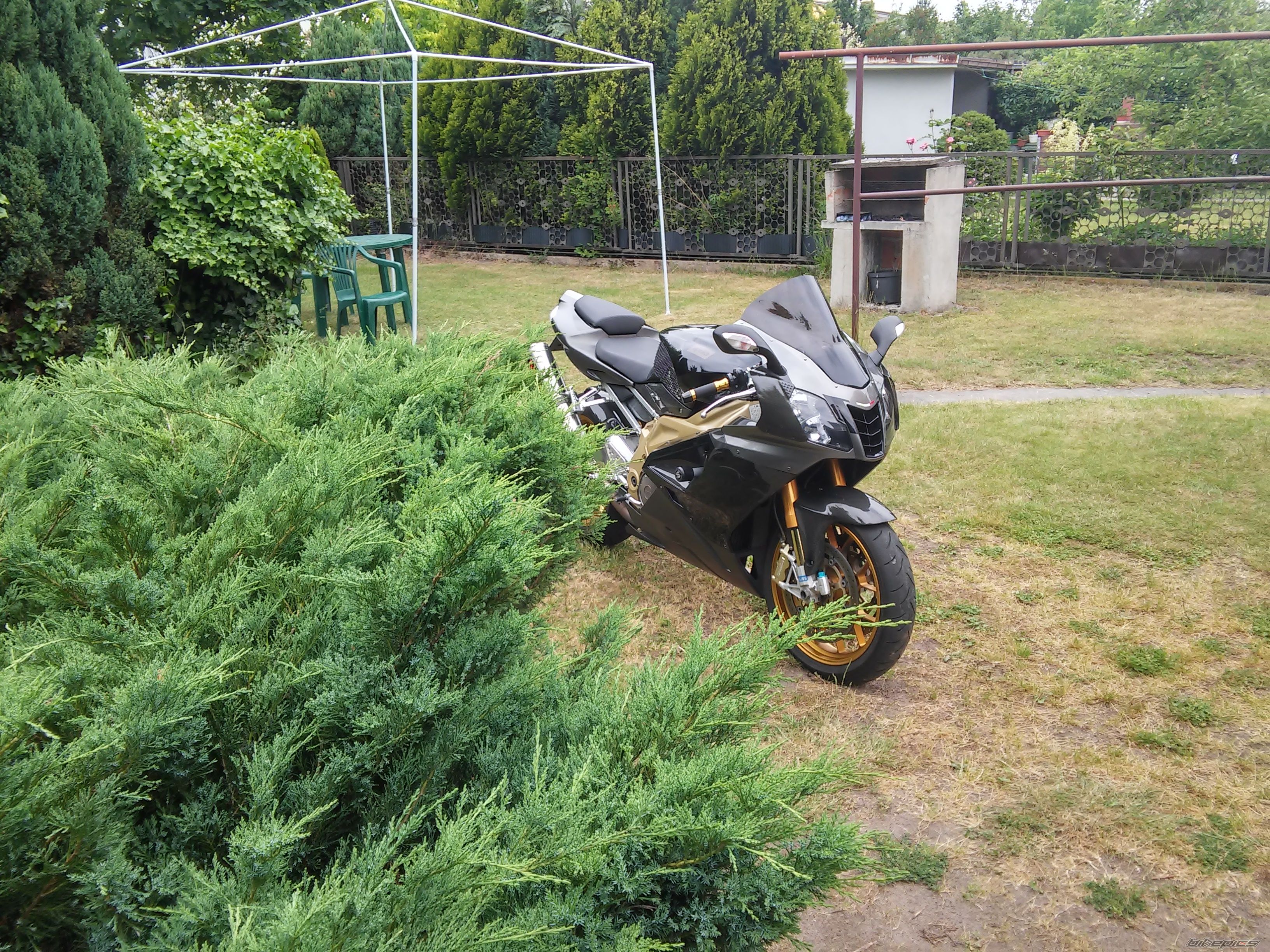 Photo 2745103