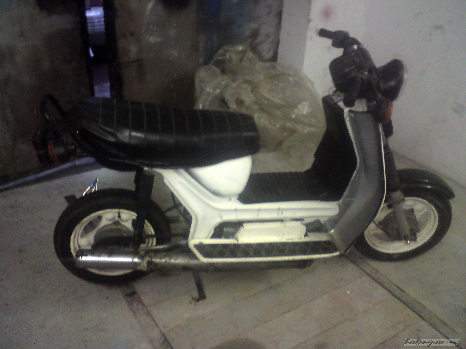 Photo 2745214