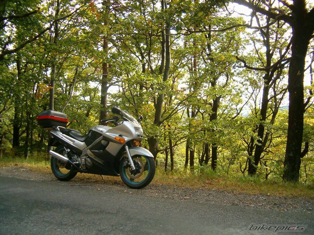 Photo 274525