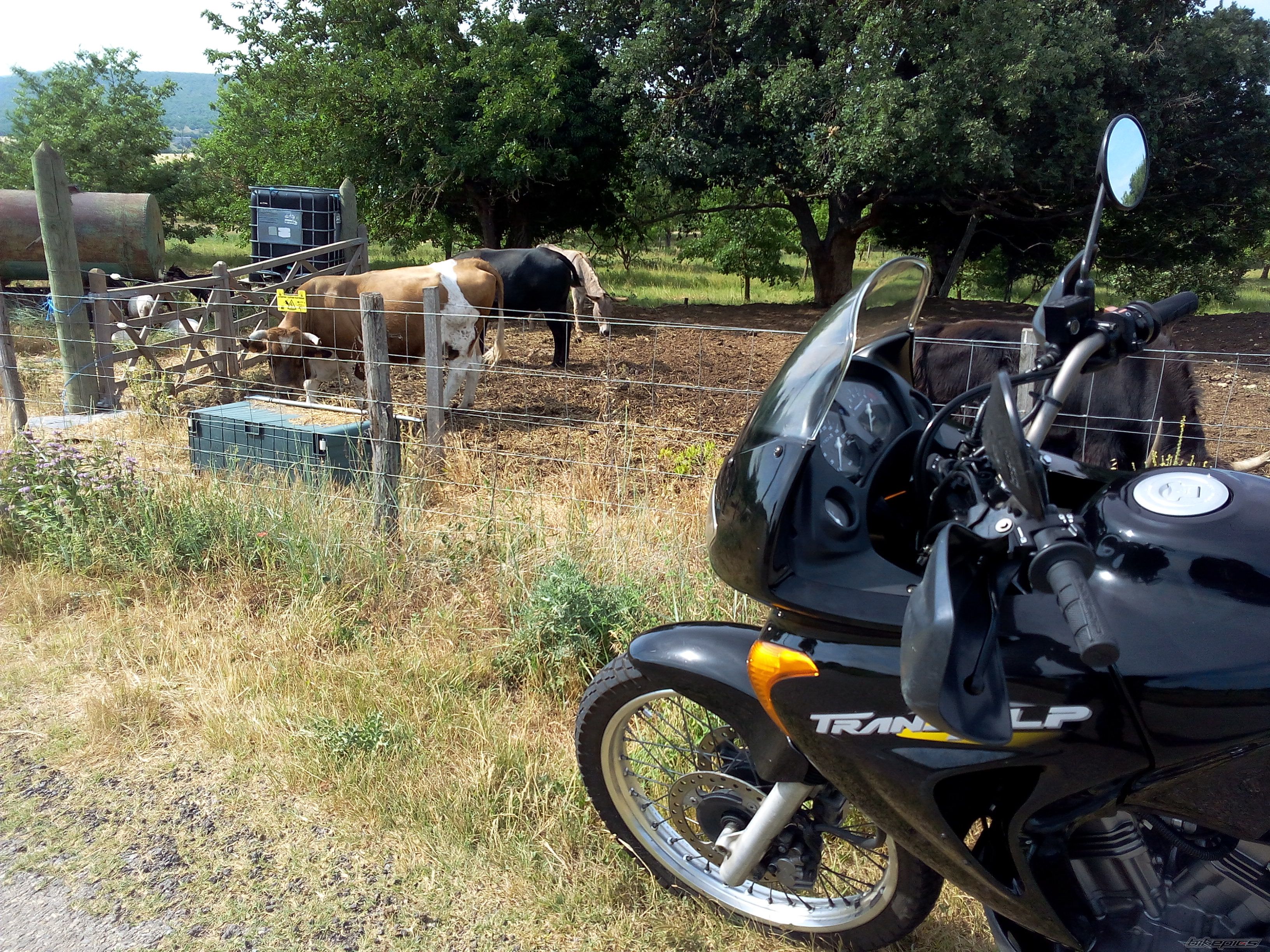 Photo 2745291