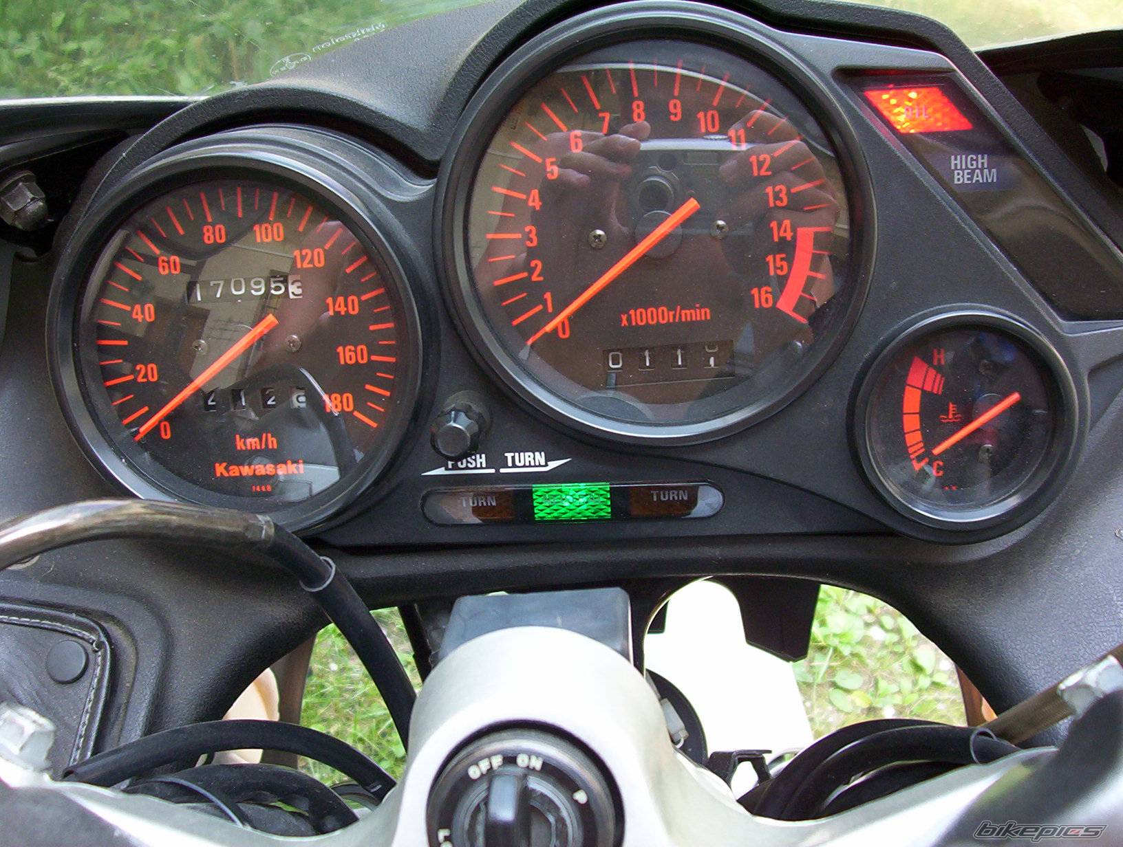Photo 274532
