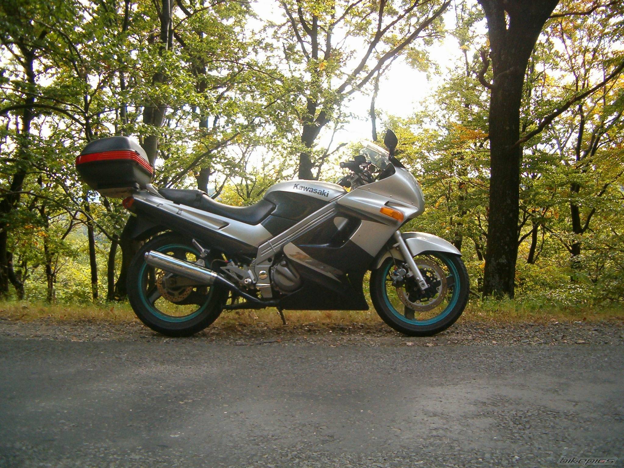 Photo 274534