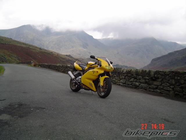 Photo 274537