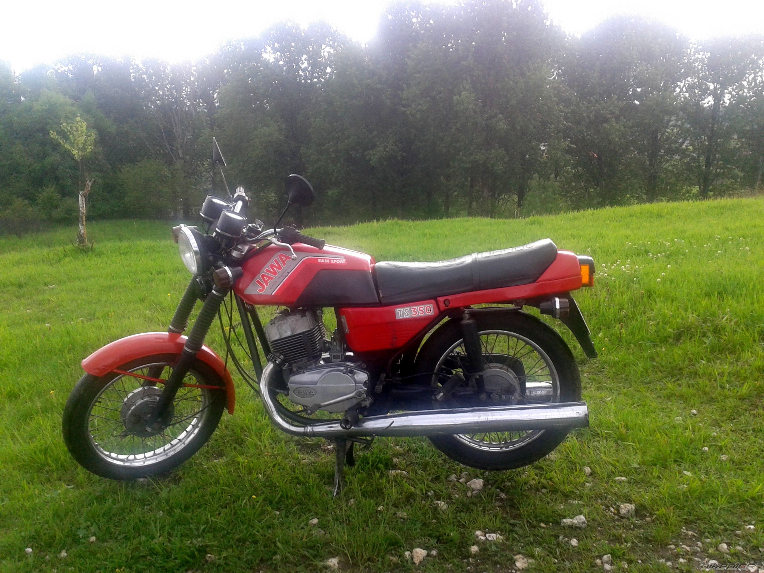 Photo 2745406