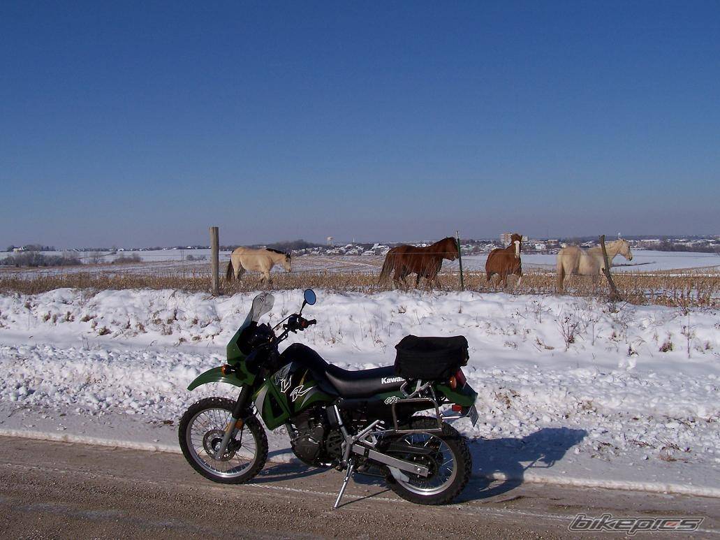 Photo 274546