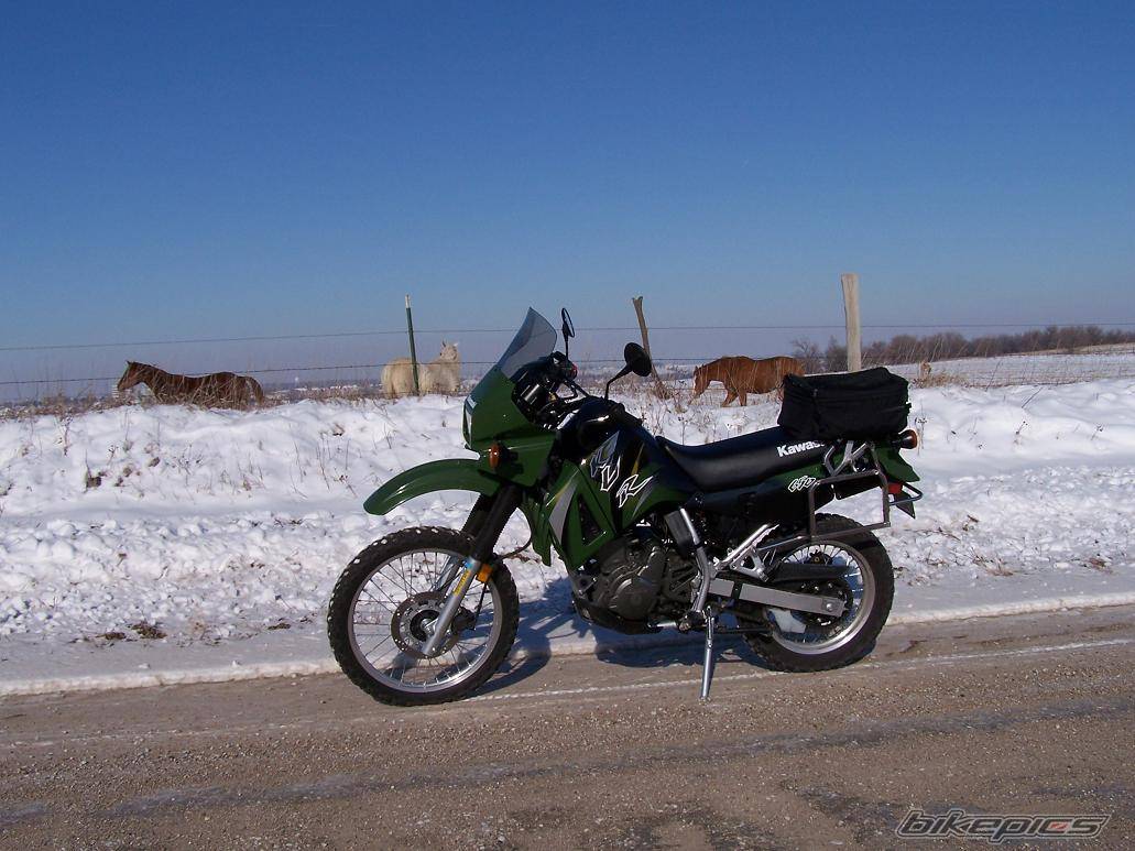 Photo 274547